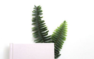 Bienvenida a la 1ª temporada