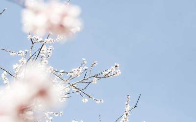 Kokoro, izena eta izana