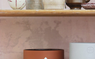 KonMari™ Metodoaren bidez antolatu nahi duzu etxea baina ez dakizu nondik hasi?