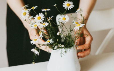 Eskertzaren garrantzia KonMari™ Prozesuan